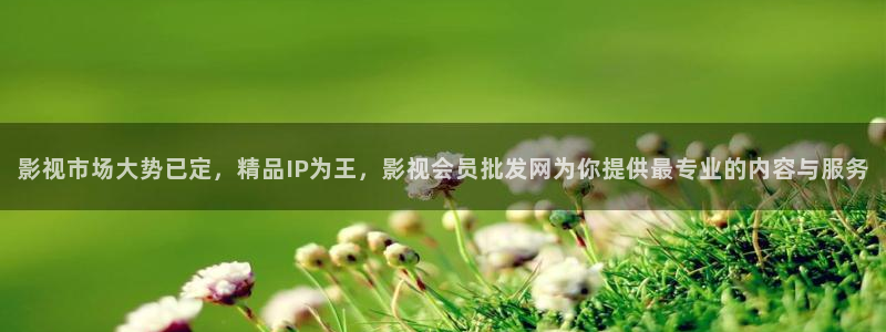 秋霞免费电影在线观看