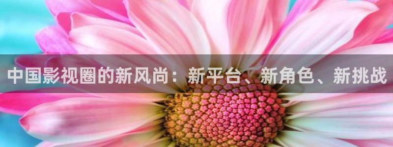 秋霞影院在线观看免费视频