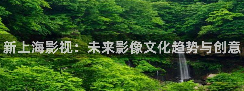 秋霞论理电影免费观看