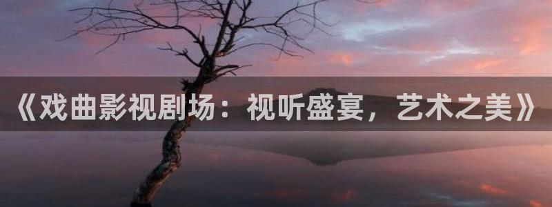 新秋霞电影26网