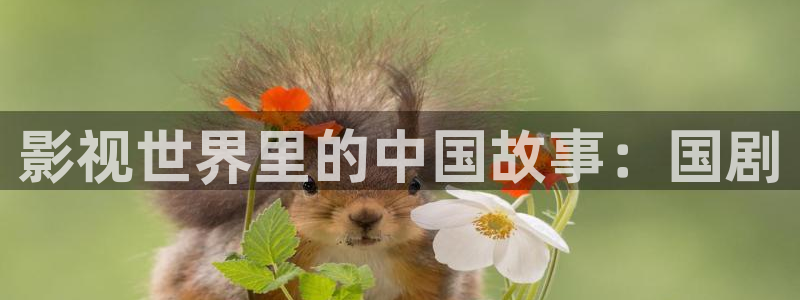 神马不卡我不卡秋霞影院