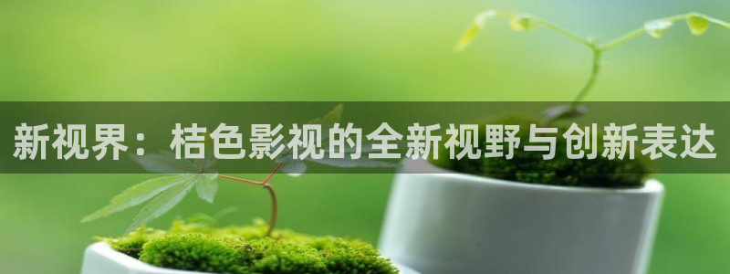 西瓜电影秋霞