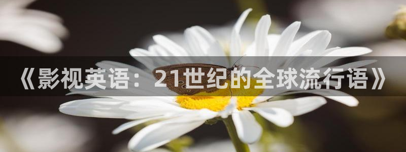 秋霞网官网