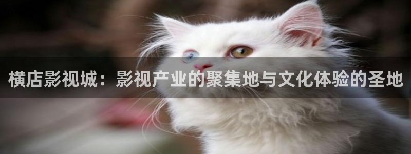秋霞电影手机板
