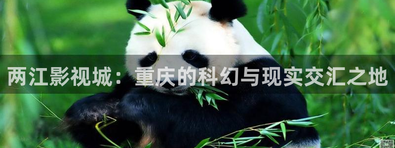 秋霞影院毛片