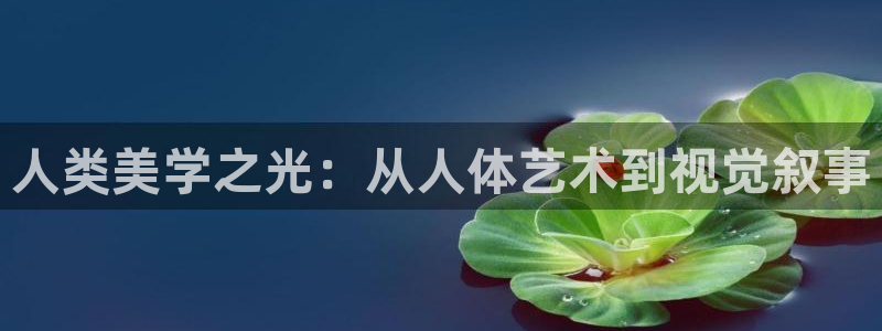 秋霞电影网神马影院