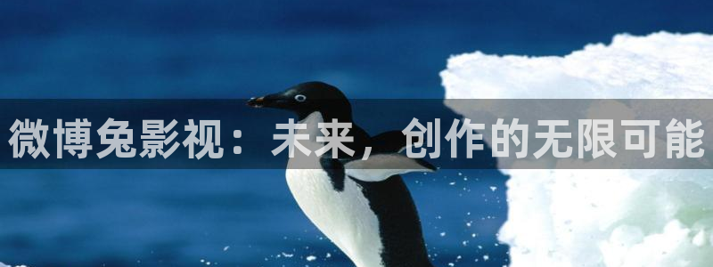 秋霞影院五月天