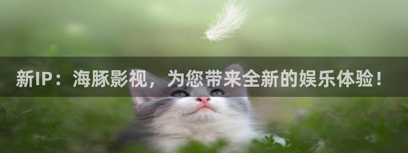 秋霞影影视